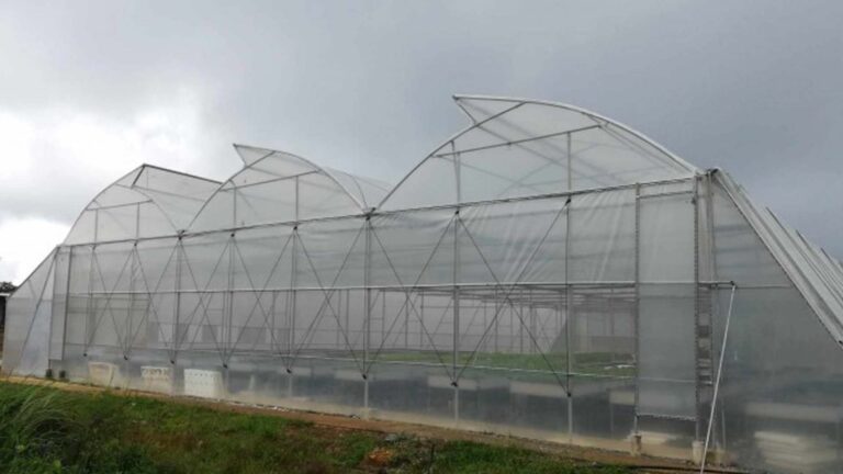NEA Urged To Energize Sitio Hosting Antique’s Greenhouse Project