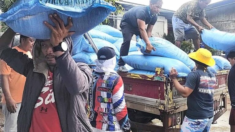 Department Of Agriculture Distributes 350 Bags Of Rice Seeds To Abra Farmers