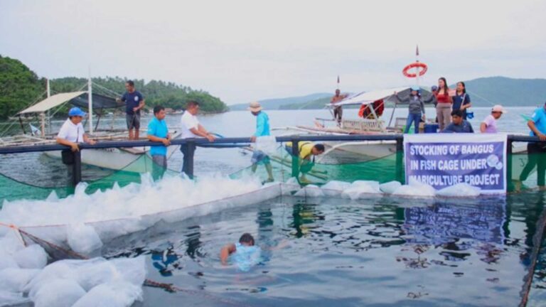 BFAR-5 Aids Fisherfolk Groups To Boost Bicol Fish Production