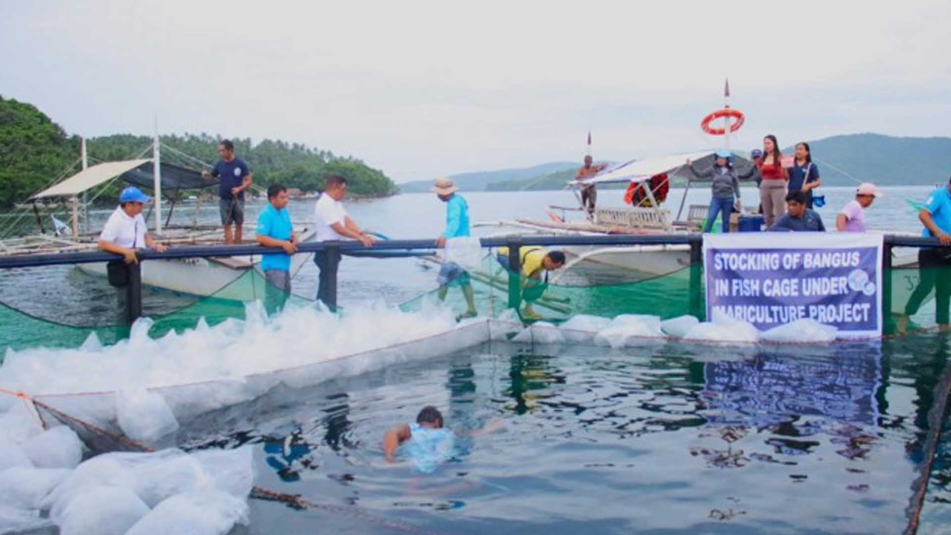 BFAR-5 Aids Fisherfolk Groups To Boost Bicol Fish Production
