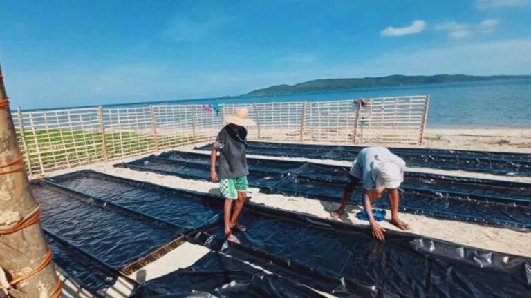 Salt Producers In Zambales, Aurora Adopt Solar Technology