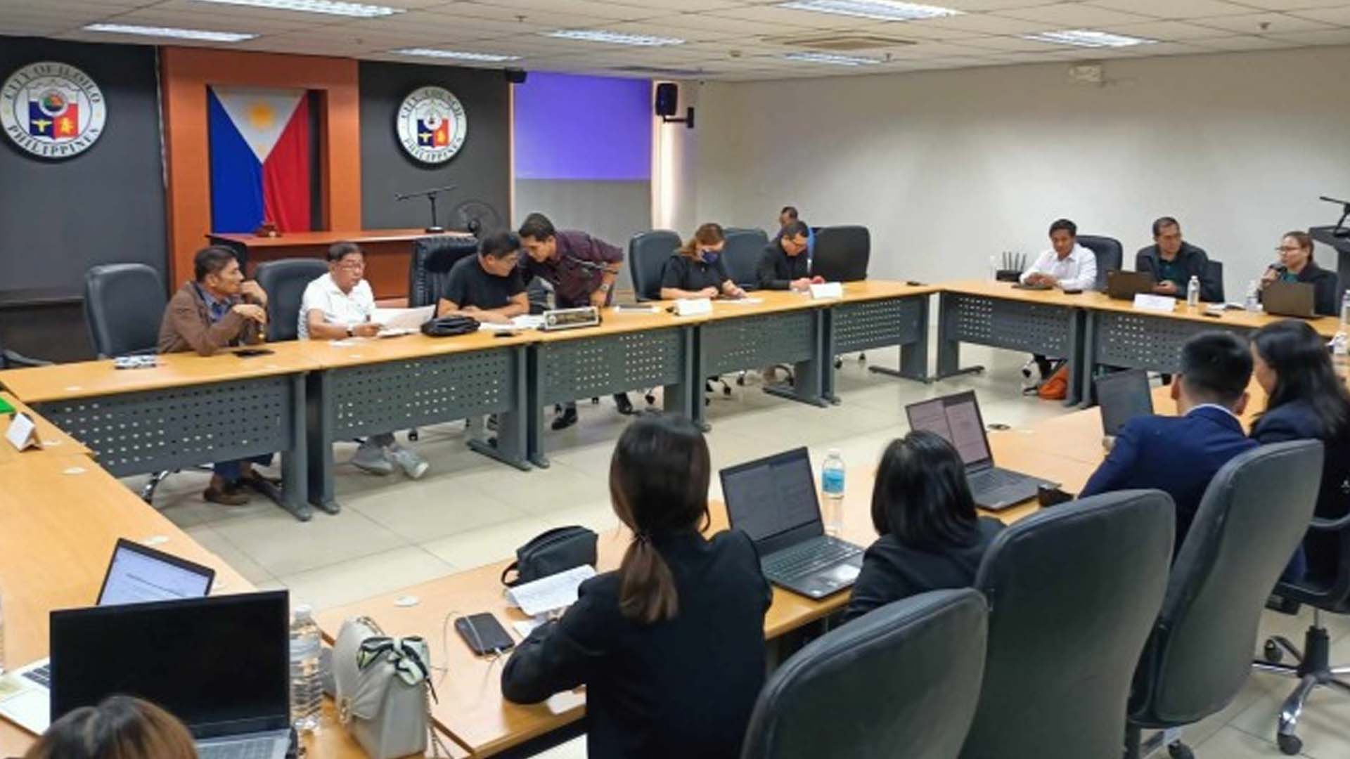 Services To Start Up Power Generators In Panay Sought
