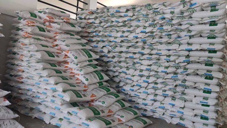 152K Farmers In Central Luzon Get Certified Seeds Via RCEF Program