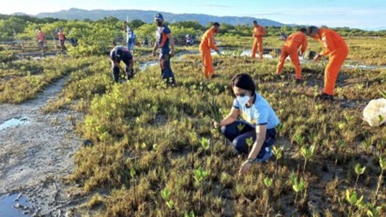 CCC Urges Transformation Of LGUs Into ‘Green Cities’