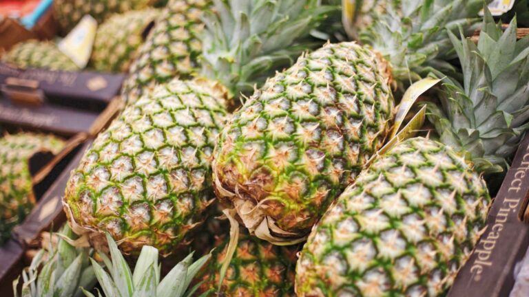 Department Of Agriculture Aid Enables 32 Siargao Farmers To Start Pineapple Farm
