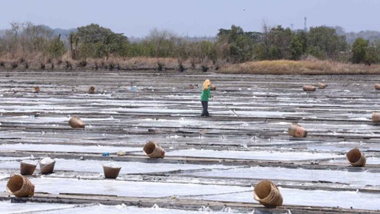 Measure To Help Salt Farmers Get Easy Access To Financial Aid