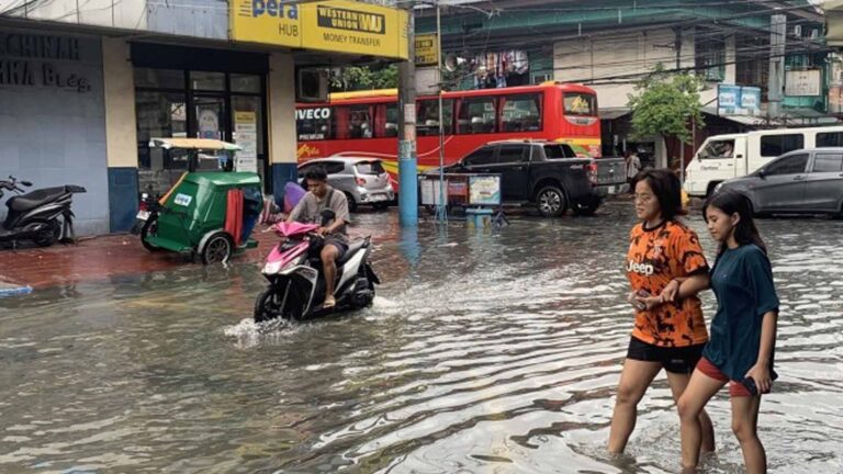 Department Of Agriculture Eyes Reforestation Effort Using Bamboo To Mitigate Floods