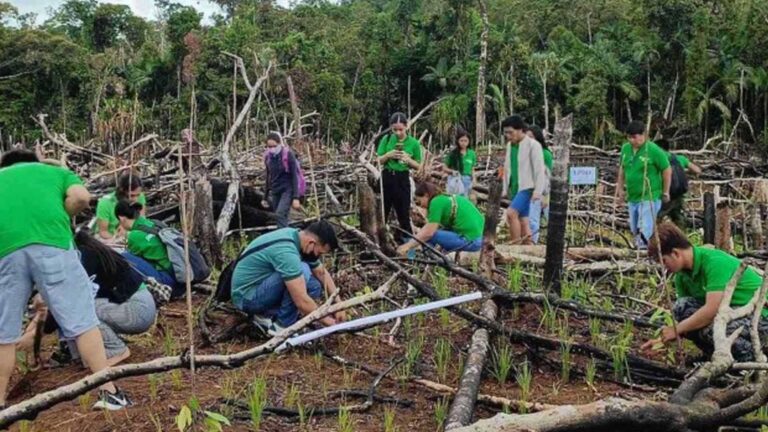 OVP Sees 100K Native Trees Planted In Eastern Visayas By 2028