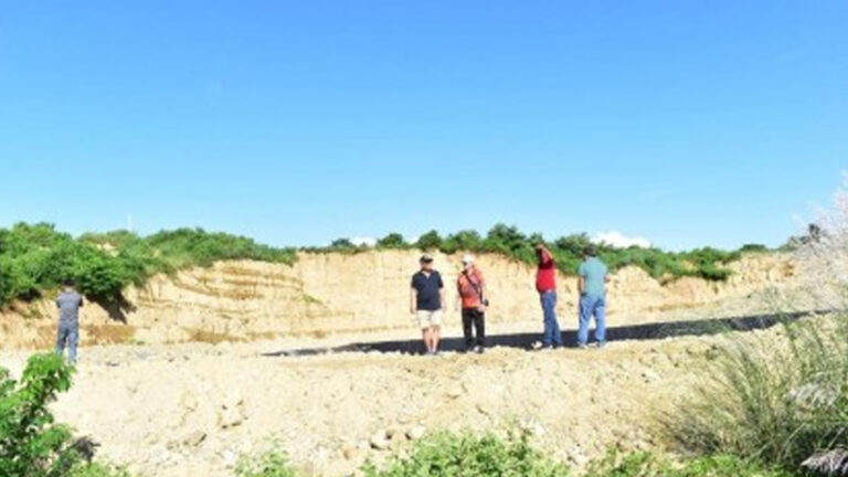 Bamboo Sanctuary Eyed In Laoag Village