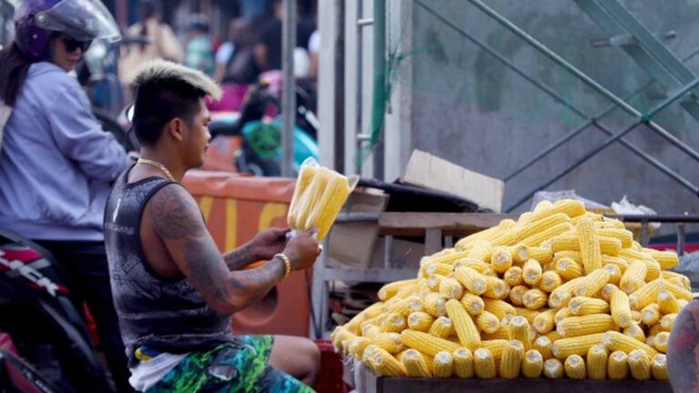 Department Of Health: Camote, Corn Good Alternative For Rice