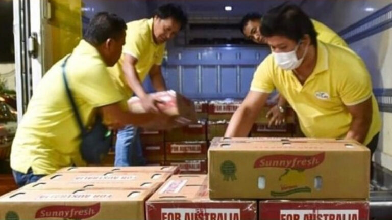 PH Revives Fresh Mango Exports To Australia
