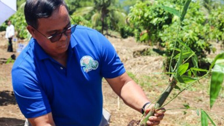 DA Steps Up Bamboo Planting Advocacy In Eastern Visayas