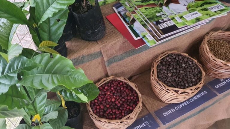 DA Invites Firm To Bid For Coffee Supply On Expanded Projects