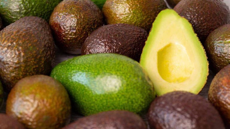 Export Of PH Avocados To South Korea Starts September 30