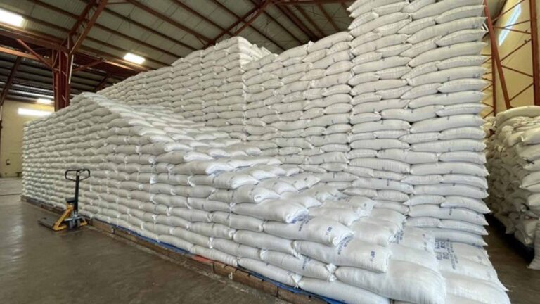 NFA-Bicol Readies PHP26.5 Million To Buy Palay From Local Farmers