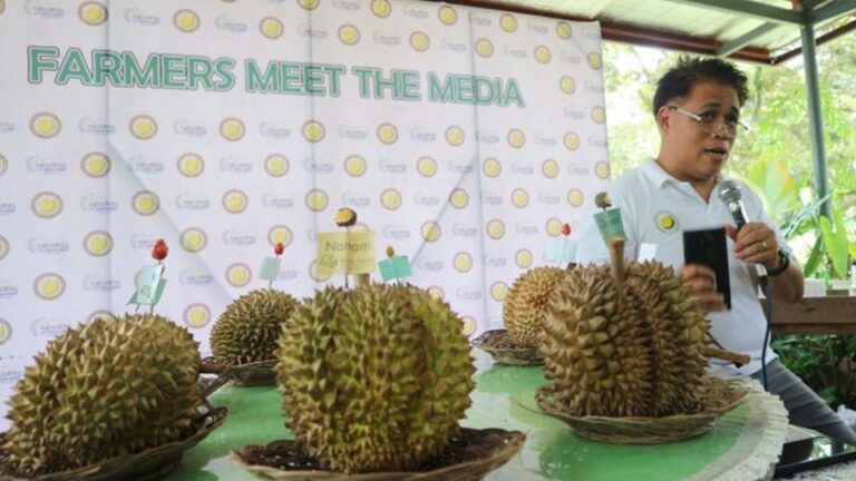 1st PH Durian Summit To Bring Experts On Good Agri Practices