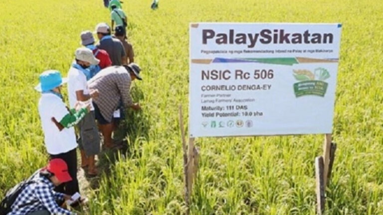 Department Of Agriculture Expands RCEF Demo Sites In 4 La Union Towns