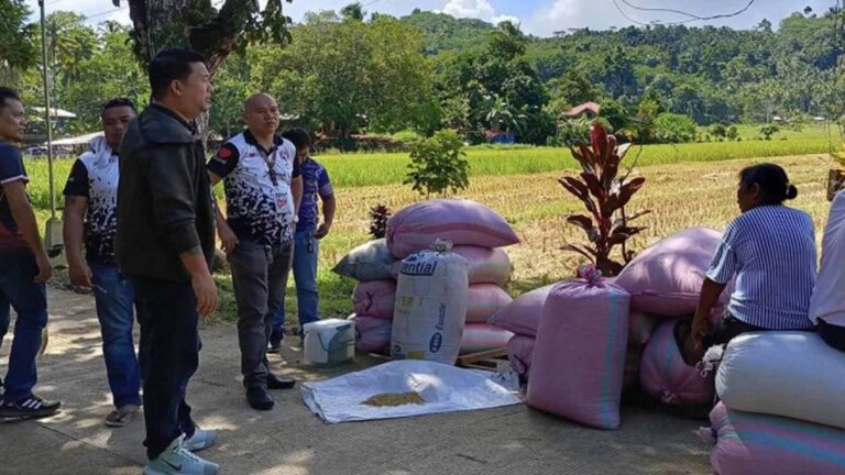 Mobile Procurement Scheme, Big Help To Surigao Del Sur Farmers