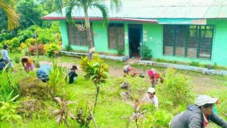 Voluntary Cleanup Helps Curb Dengue Incidence In Antique