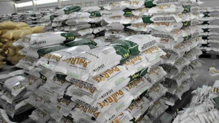 Negros Occidental Farmers Get 90K Bags Of Seeds From Government