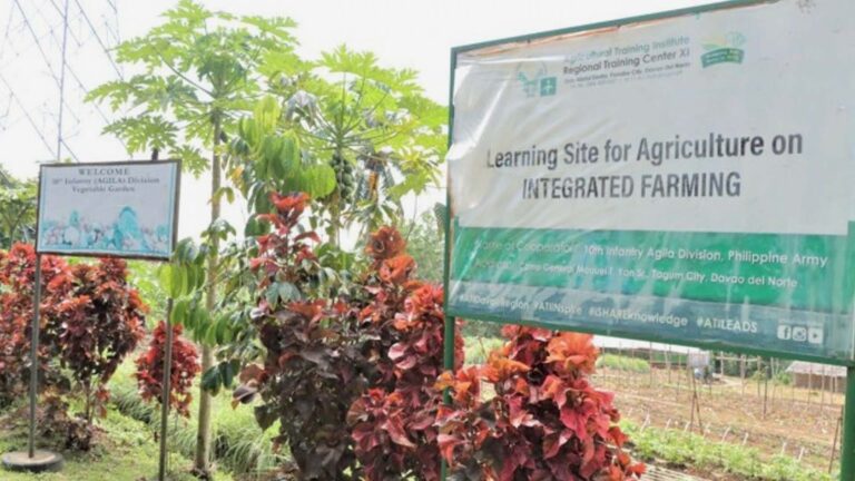 Army Demo Farm Promotes Food Production, Self-Sufficiency