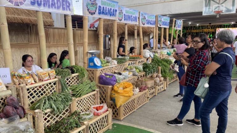 Ilocos Norte City Gears Up As Smart, Sustainable City