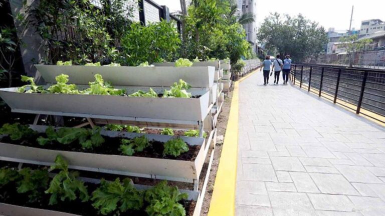 MMDA Upgrades ‘Model’ Linear Park In Makati