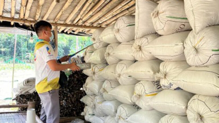 Ilocos Sur Palay Farmers Get More Cash Incentives