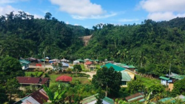 Leyte Village Eyed As Future Release Site For Philippine Eagle