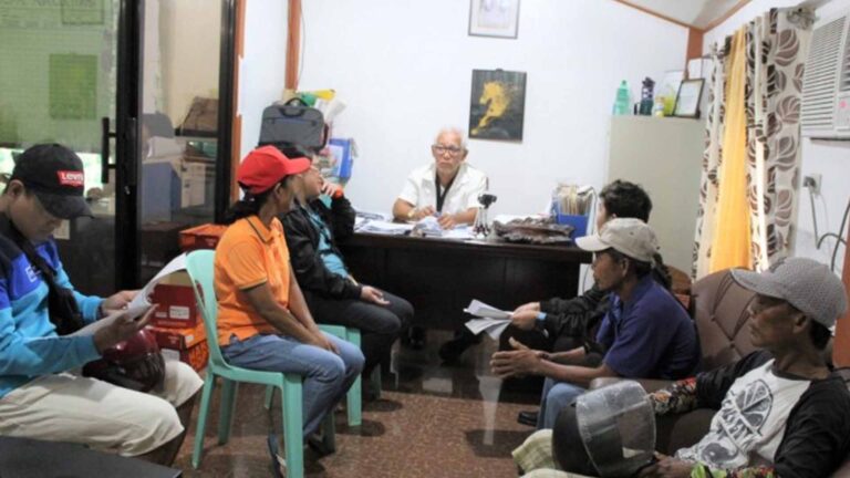 Livestock Raisers In Romblon Town Urged To Get Animals Insured