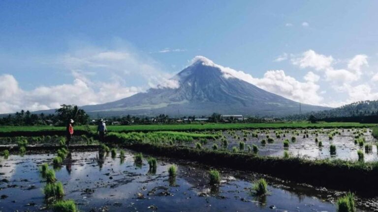 Albay Town Farmers To Get Rice Seeds From Government