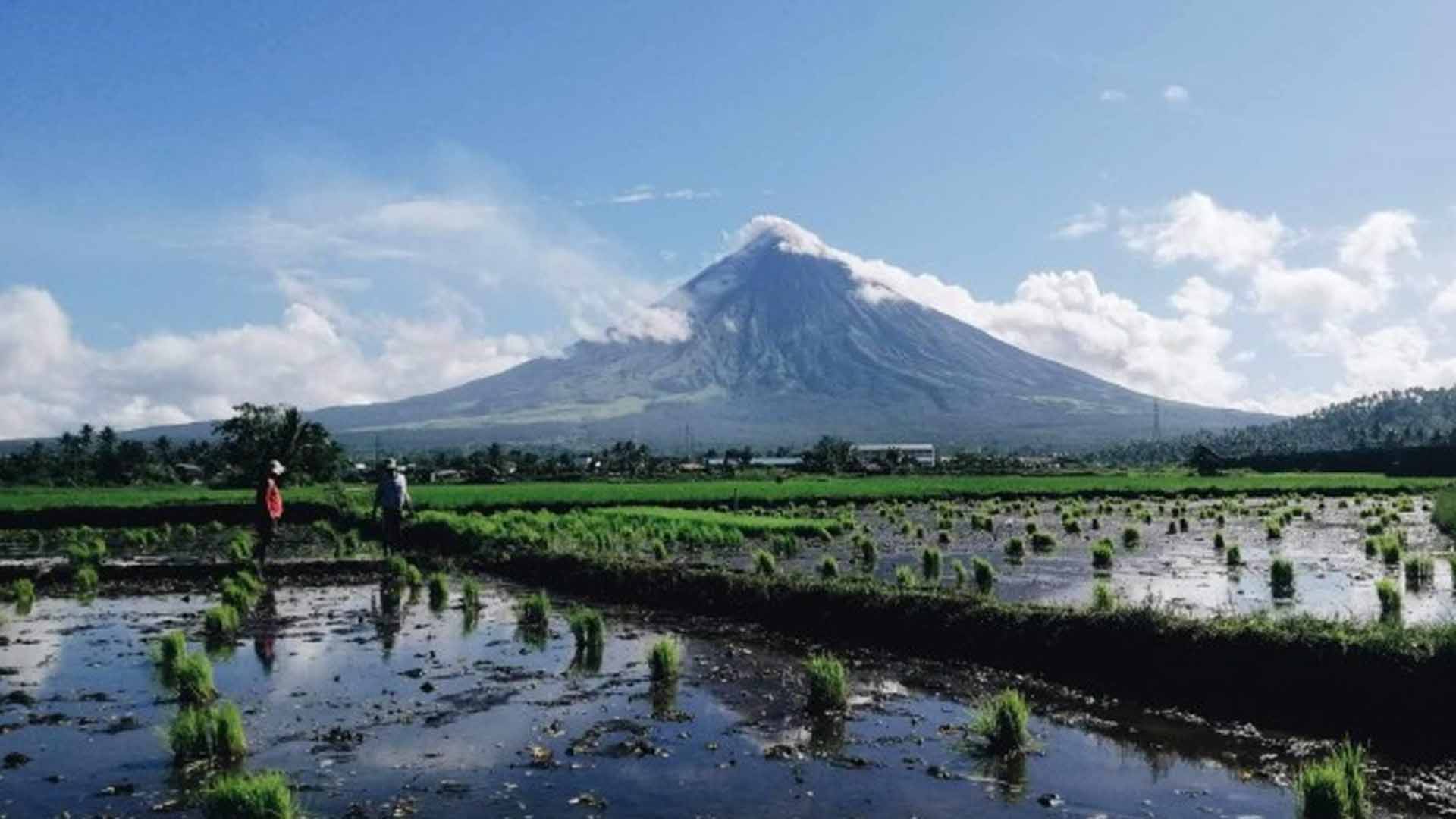 Albay Town Farmers To Get Rice Seeds From Government