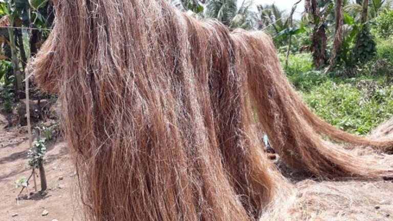 PhilFIDA To Hold Fiber Crops Summit On November 14