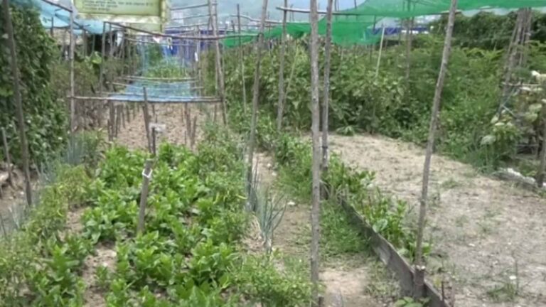 Nueva Ecija Eyes Becoming Farm Tourism Destination