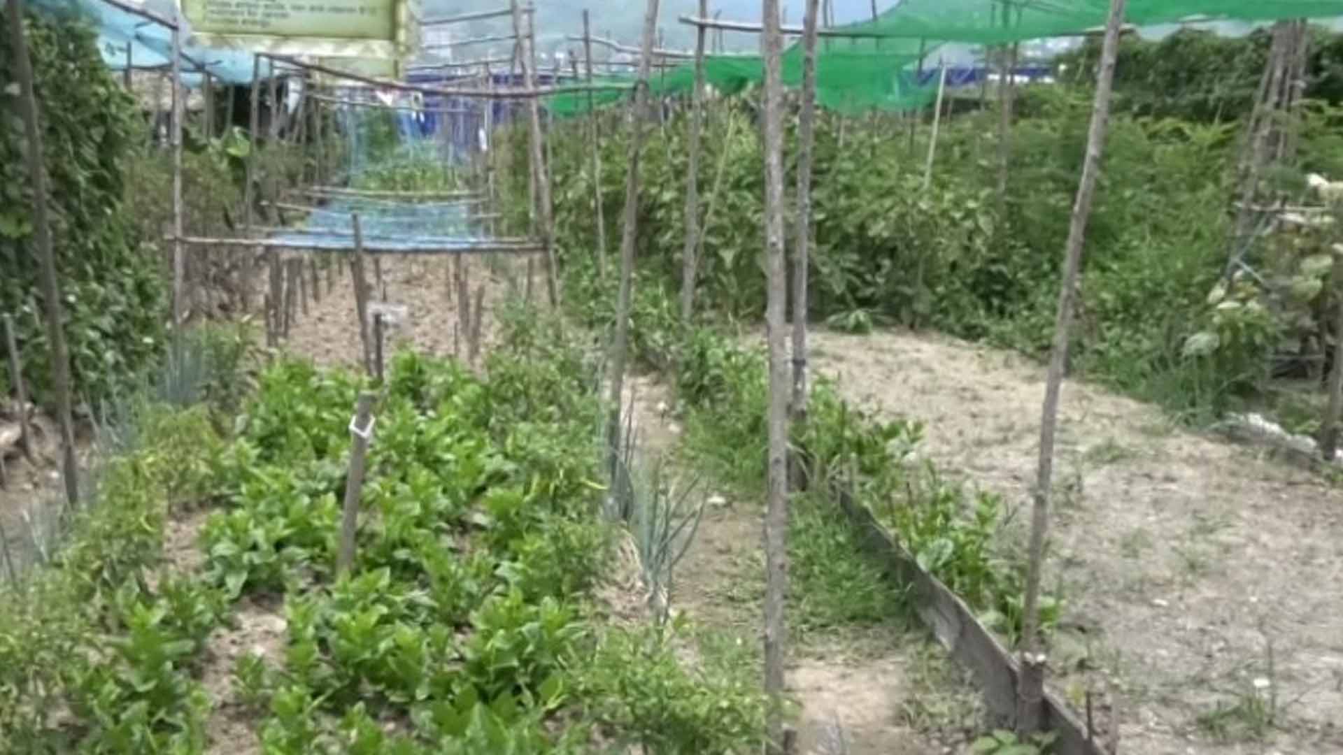Nueva Ecija Eyes Becoming Farm Tourism Destination