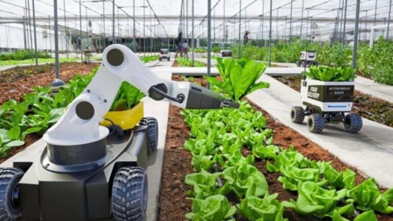 Agri-Tech Solution Projects To Get Funding Support From NEDA