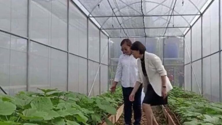 Greenhouse Project Launched In Time For ‘Yolanda’s’ 10th Anniv