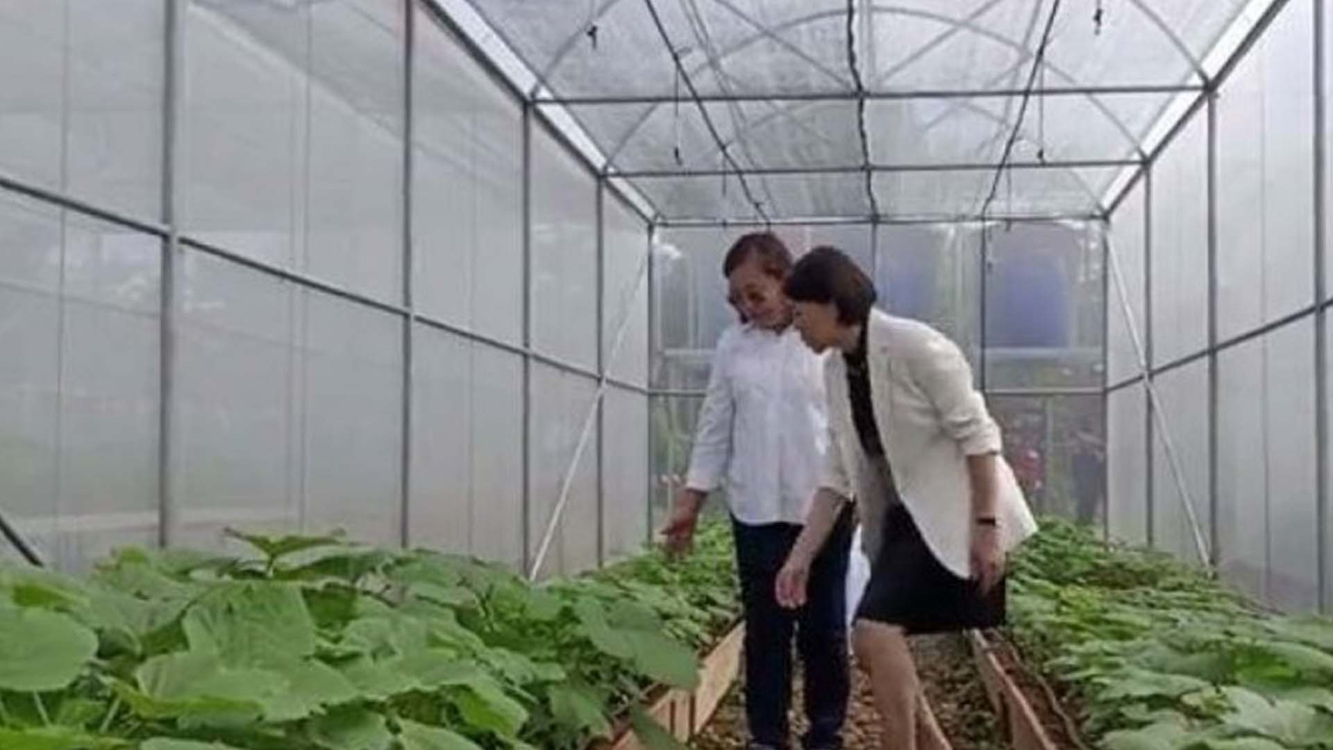 Greenhouse Project Launched In Time For ‘Yolanda’s’ 10th Anniv