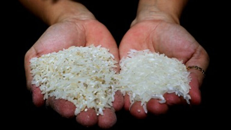 Mandate Half-Cup Rice Serving To Address PHP7 Million/Year Wastage