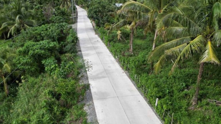 Road Projects Boost Agricultural Communities In Aurora