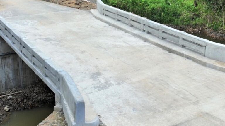 NEDA Approves DAR’s PHP28.2 Billion Bridge Project To Cut Logistic Costs