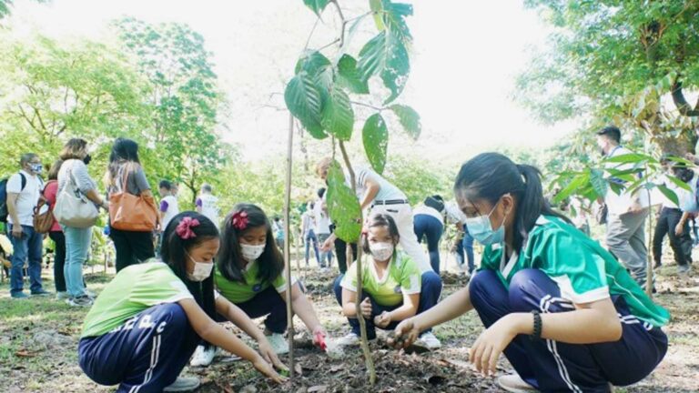 Oriental Mindoro Schools Prepare For Holiday Tree-Planting Activity