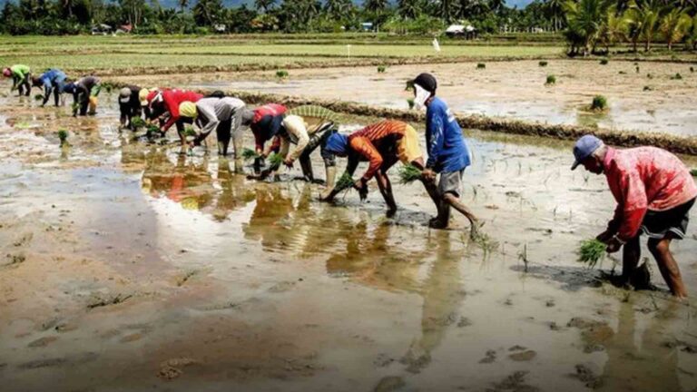 DAR Brings Modern, Scientific Farming To BARMM ARBs