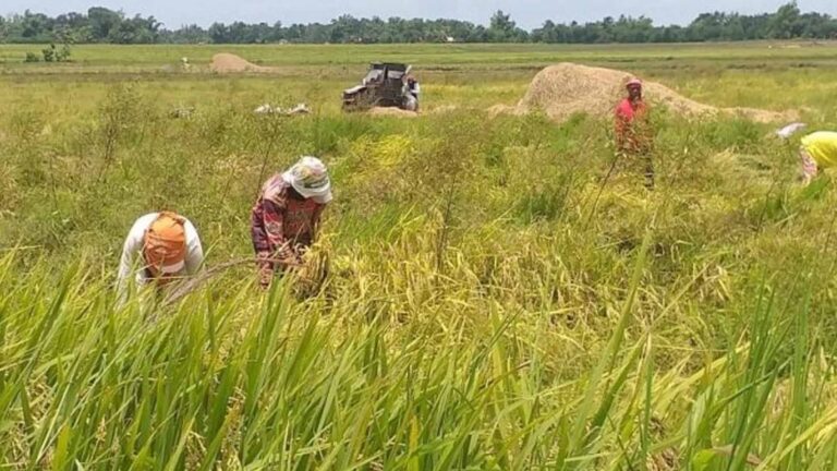 Bago City Farmers Get PHP1 Million Trading Capital Fund From DA
