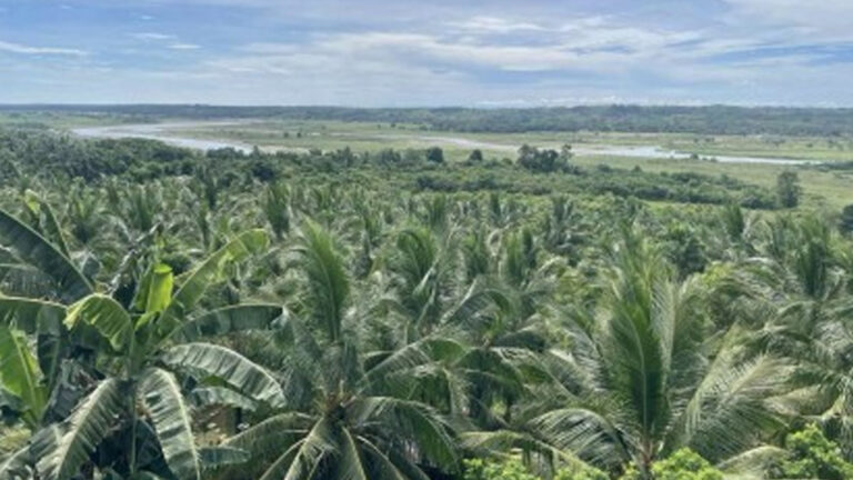 Ilocos Town Hosts Coconut Processing Facility