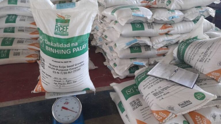 CEF Seed Program Helps Increase Rice Farmers’ Yields
