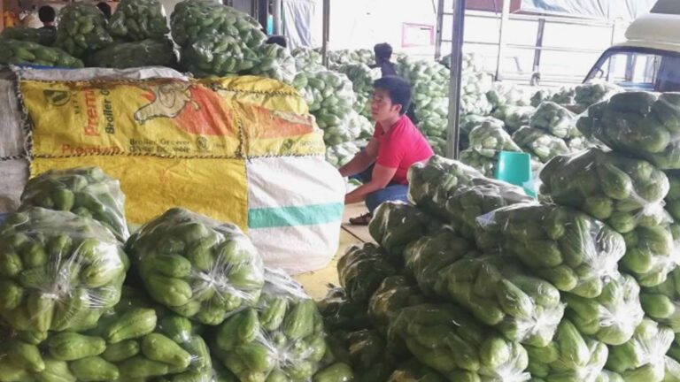 DA-CAR Ordered To Boost Vegetable Productions, Address Price Swing