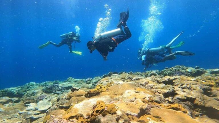 Borongan City Diversifies Tourism Offerings Outside Surfing