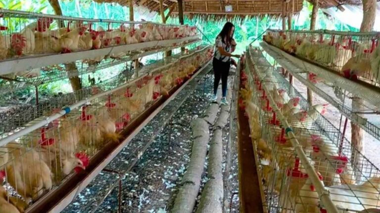 DA Spends PHP87 Million For Eastern Visayas’ Anti-Poverty Projects In 2023