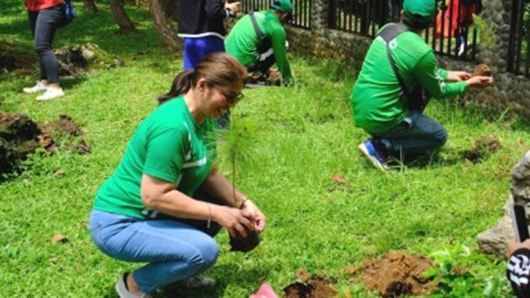 Baguio City Urges Forest-Tending Activities As Tree Planting Season Ends